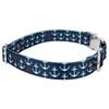 Country Brook Petz - Premium Anchors Away Dog Collar -
