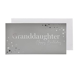 Silver Birthday Christmas Money Wallet and Envelope - Granddaughter