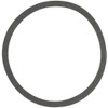 BELL & GOSSETT P04890 Replacement Body Gasket-556298