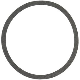 BELL & GOSSETT P04890 Replacement Body Gasket-556298