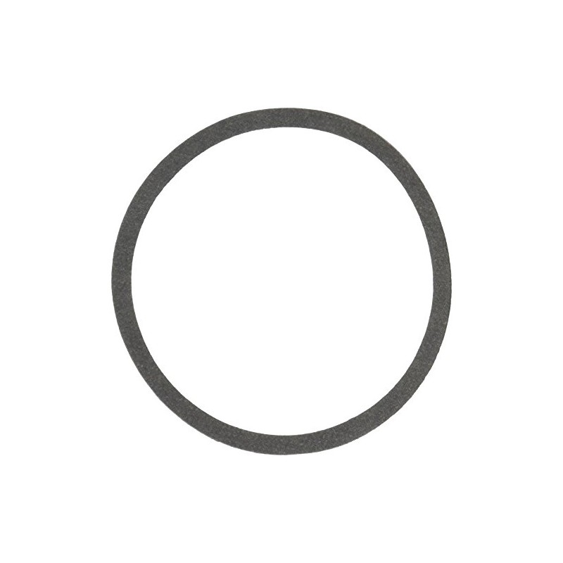 BELL & GOSSETT P04890 Replacement Body Gasket-556298