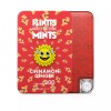 Flintts Mouth Watering Mints - Cinnamon Ginger - F-Strength 300