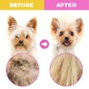 Flea Comb for Cats Dogs, 6 Pack Pet Lice Comb