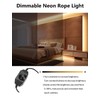 Lucienstar LED Neon Rope Lights, 32.8Ft Warm White Led Strip