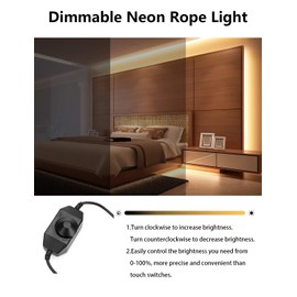 Lucienstar LED Neon Rope Lights, 32.8Ft Warm White Led Strip Light Set, with 24V Power Adapter, IP67 Waterproof, Flexible DIY, Silicone Dimmable Neon Strip Light for Bedroom, Indoor, Outdoor
