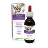 Goat's rue (Galega officinalis) herb with Flowers Alcohol-Free Mother Tincture