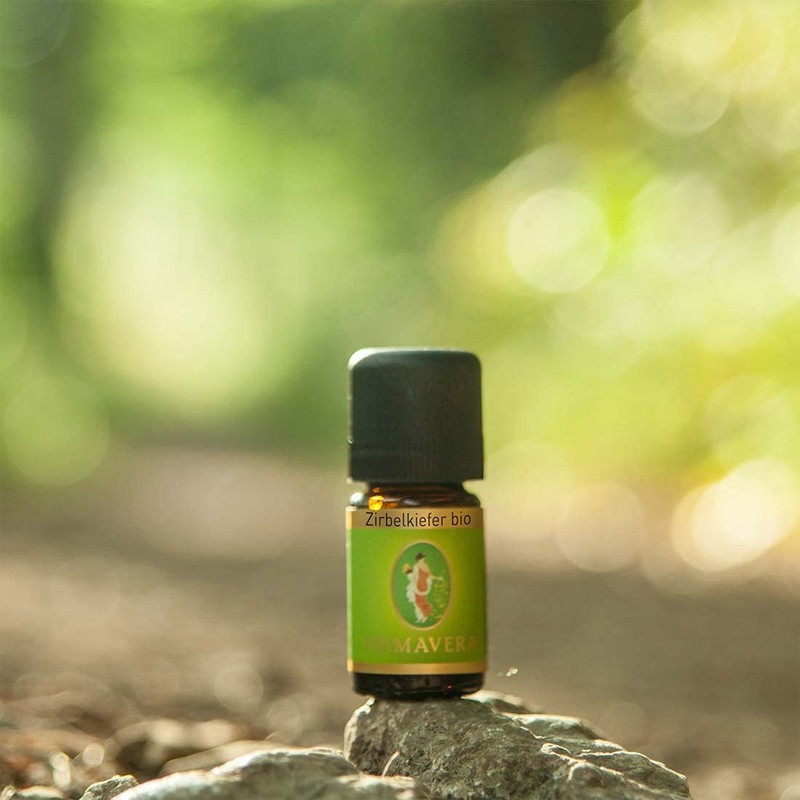 Primavera PV10597 Single Essential Oil Swiss Spine Bio 5ml