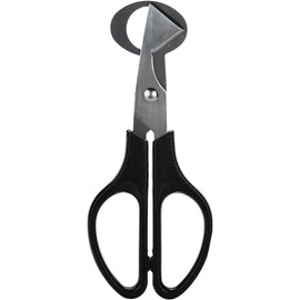 Black Quail Egg Scissor Pigeon Cutter Small Quail Egg Cracker Opener Cigar Cutter Stainless Steel Blade Tool Egg Separators Specialty Tools and Gadgets Kitchen Utensils and Gadgets