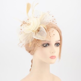 DRESHOW Fascinator Hats for Women Pillbox Hat with Veil Headband and a Forked Clip Tea Party Headpiece, 1 set Gl-khaki apricot, Unit size