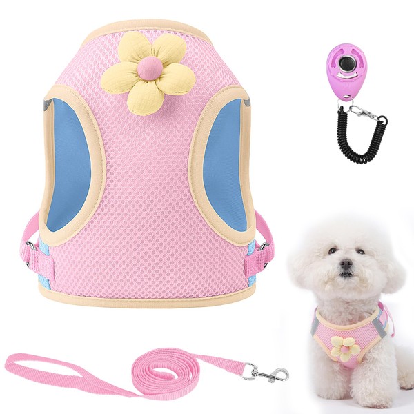 Dog Harness with Leash Set, Breathable Adjustable Dog & Cat