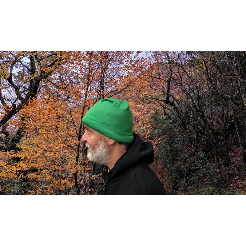 Fancy Pants FunTime Dwarf Costume Hat, Green