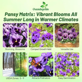 Outsidepride Ocean Pansy Seeds for Planting - 100 Pcs. Biennal, Cold-Hardy & Pollinator Friendly Flowers with Fragrant Blooms for Garden Beds, Borders & Container Displays