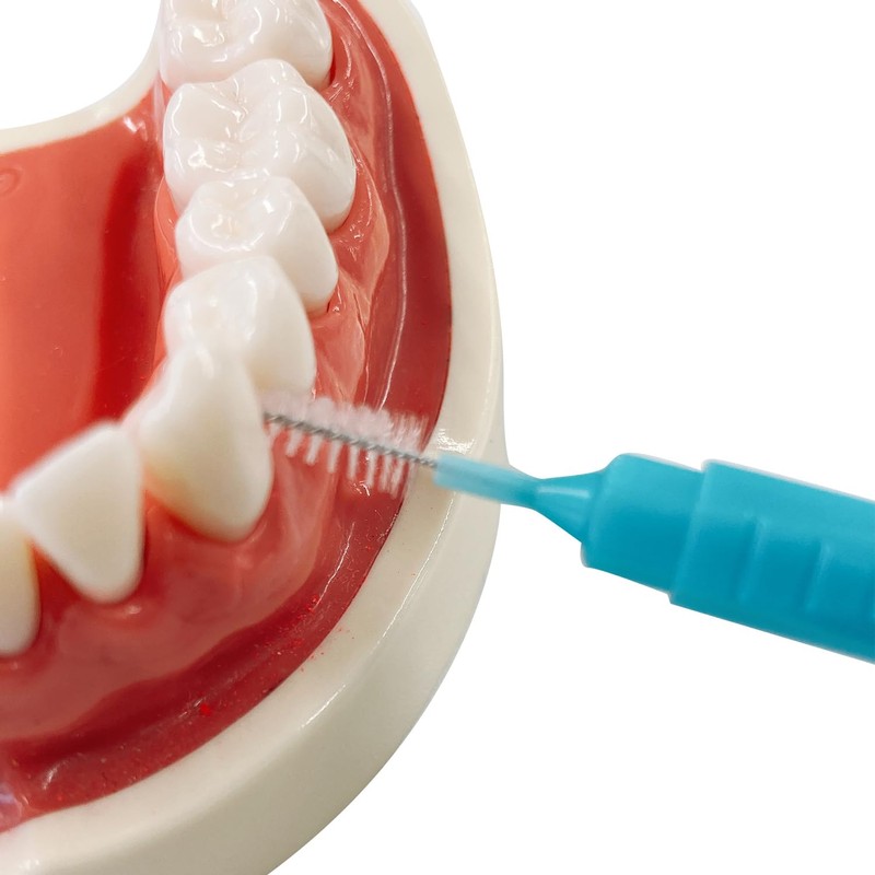 Interdental Brushes with Daily Cap, 20 Pieces, M, 2 Pieces