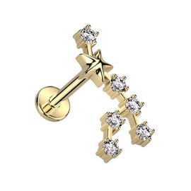 Pierced Owl 18GA Gold Plated 316L Stainless Steel Internally Threaded CZ Crystal Zodiac Constellation Flat Back Stud (Leo)