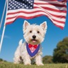 ADOGGYGO American Flag Dog Tuxedo Bandana, Red Blue Pet Tux