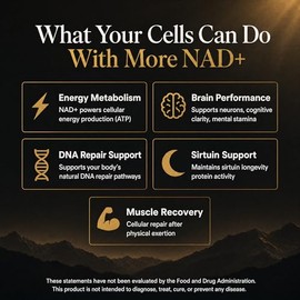 ZYVA NAD+ Pro 1200 - Suplemento directo de NAD Plus de alta dosis - 1200 mg por porción - Apoya la energía celular y la función mitocondrial - Envejec