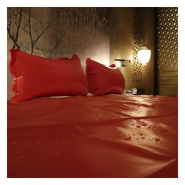 Zishine Waterproof Bed Sheets with Inflatable Pillow for Essential Oil Massage Spa, King 83x83in