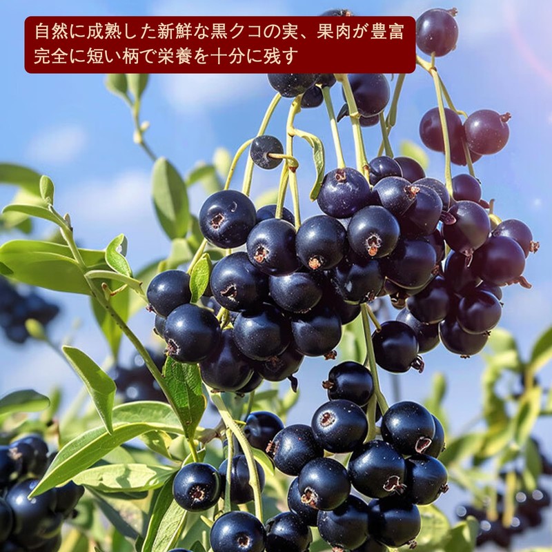 Black Wolfberry, Black