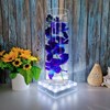 LARDUX Led Light Base - 5 inch Square Lights Display