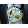 The Real Insect Scorpion & Spiny Spider Neckace