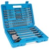 Syizyen 17pcs SDS Plus Concrete Masonry Drill Bits and Chisels