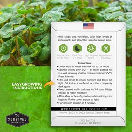 3 Packs Buckwheat Microgreens Seeds for Planting and Growing - Plant Green Leafy Micro Vegetable Plants Indoors - Grow Your Own Mini Windowsill Garden - Non-GMO Heirloom - Survival Garden Seeds