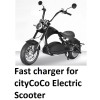coming data 🔥fater battery charger for cityCoCo Electric Scooter Charger