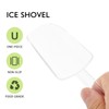 8 Cucharas De Transparente Mini Cuchara Taza Medidora De Palas