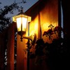 MUQIULIA Landscape Light Bulbs，Low Voltage Light Bulbs, T5 Malibu Bulbs
