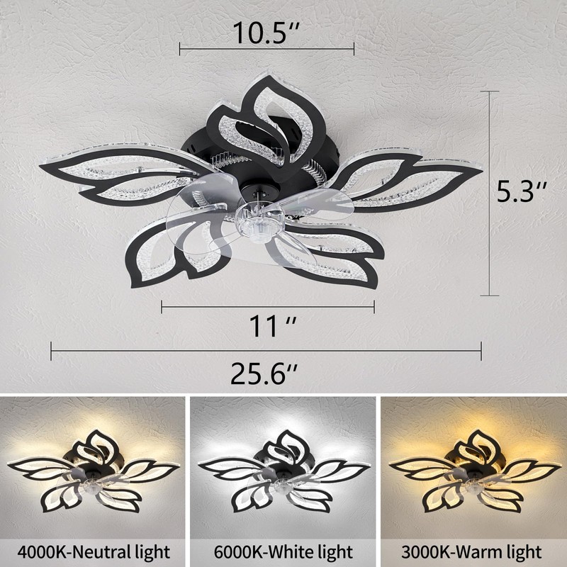 haodengshi 25" Black Geometric Ceiling Fan with Lights and Remote