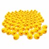 DINETTE Pyotto Duck (100 Pieces)