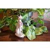 Discoveries Egyptian Imports Bastet Cat Goddess Statue - White -