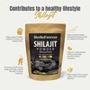 Herbsforever Shilajit Powder Mineral Pitch Antioxidant General Wellness Concentrated Extract