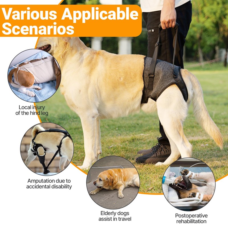 Dog Lifting Harness for Back Legs, Dog Support Harness, Adjustable