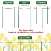 WooWellGoGoGo 8 Pack Snake Plant Support Stakes - Rust-Proof Half