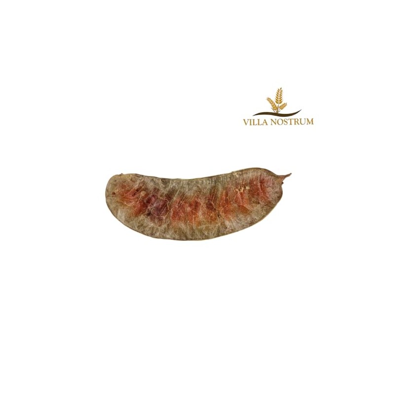 Senna Pods 100g bu Villa Nostrum