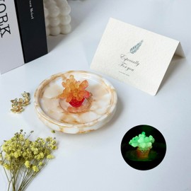 Ceramic Jewelry Dish with Glow-in-the-Dark Coral, Ring Dish Tray for Ring, Earrings, Necklaces, Coral Jewelry Plate Organizer with Greeting Card, Decorative Trinket Dish for Bedroom, Vanity, Bathroom