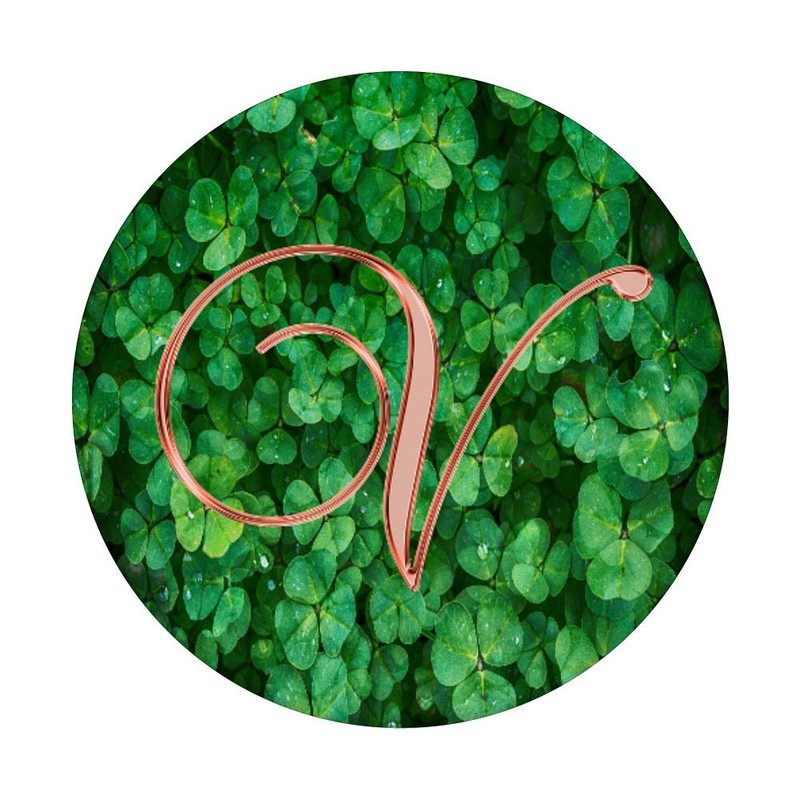 V Pink Clover Shamrock 4 Leaf Plant Initial Monogram Letter