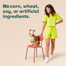 Jinx Chicken & Bacon Layers Jerky Dog Treats - 5oz