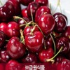 Effects of iron supplements, iron supplements, nutritional supplement HemoC /
