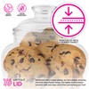 Modern Innovations 80-Ounce Candy & Cookie Jar with Lid, Premium