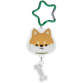 Skater ZCAKH1-69830 Key Holder, Turf, Size: 2.2 x 5.9 x 0.3 inches (5.6 x 15 x 0.9 cm)