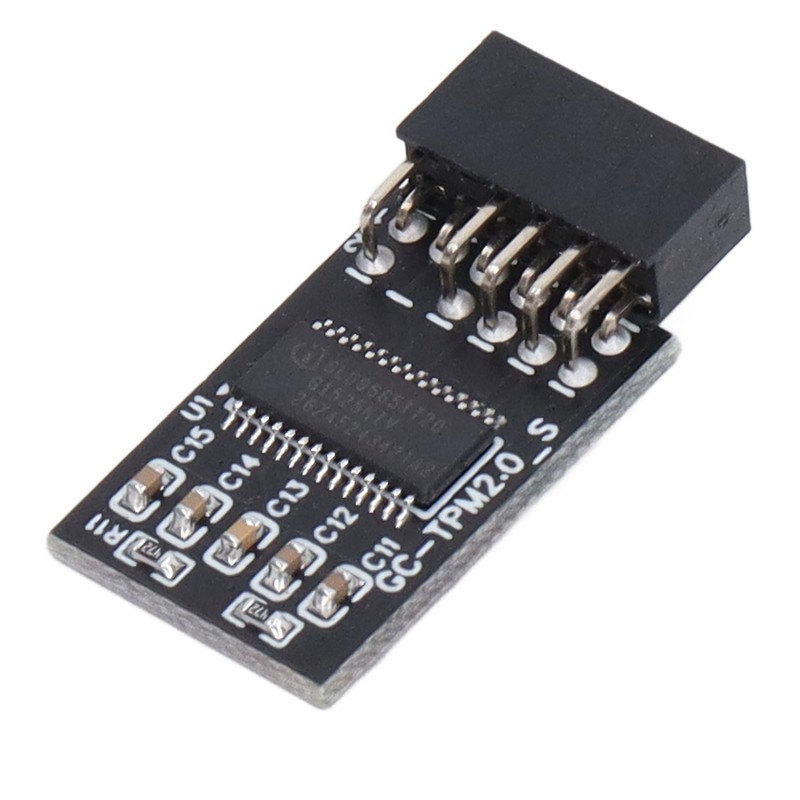 TPM 2.0 Module LPC SPI 12Pin Remote Card Encryption Security