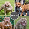 BAOBOTE Gold Dog Chain Collar Walking Metal Chain Collar with