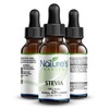 Nature's Garden - Stevia - 2 oz Liquid- Single Alcohol