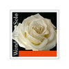 Pirastro Wondertone Solo Violin String A