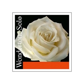 Pirastro Wondertone Solo Violin String A