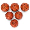 Raz Imports Pomanders - Set of 6 (4002263)