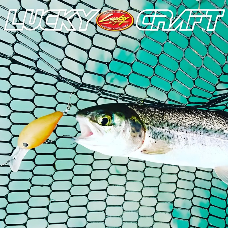 LUCKY CRAFT Deep Kura Pee DRS SS Fishing Lure Crankbait