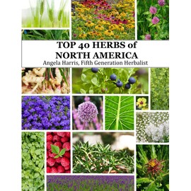 The Top 40 Herbs of North America: Natural remedies from Mexico, the United States, and Canada.